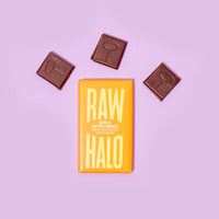 Organic Vegan Dark Chocolate with Salted Caramel 22g