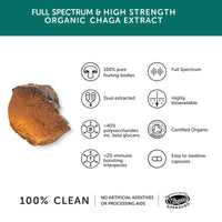 Chaga Mushroom 9450mg - High Strength – 60 Capsules
