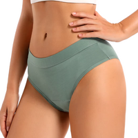 Bikini Style Reusable Period Pants - Biodegradable Bamboo Cotton Period Pants - Buy One Get One Half Price!