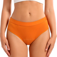 Bikini Style Reusable Period Pants - Biodegradable Bamboo Cotton Period Pants - Buy One Get One Half Price!