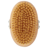 Re:gn Natural Beechwood & Sisal Body Brush – Eco-Friendly Exfoliating Dry Brush