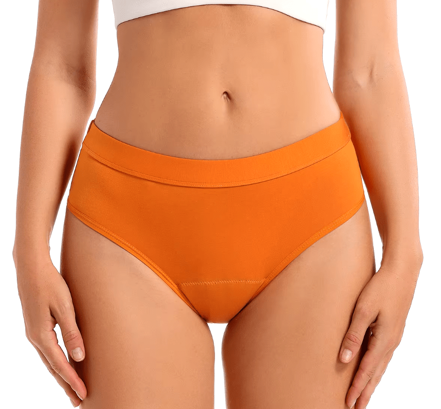 Bikini Style Reusable Period Pants - Biodegradable Bamboo Cotton Period Pants - Buy One Get One Half Price! - REGN