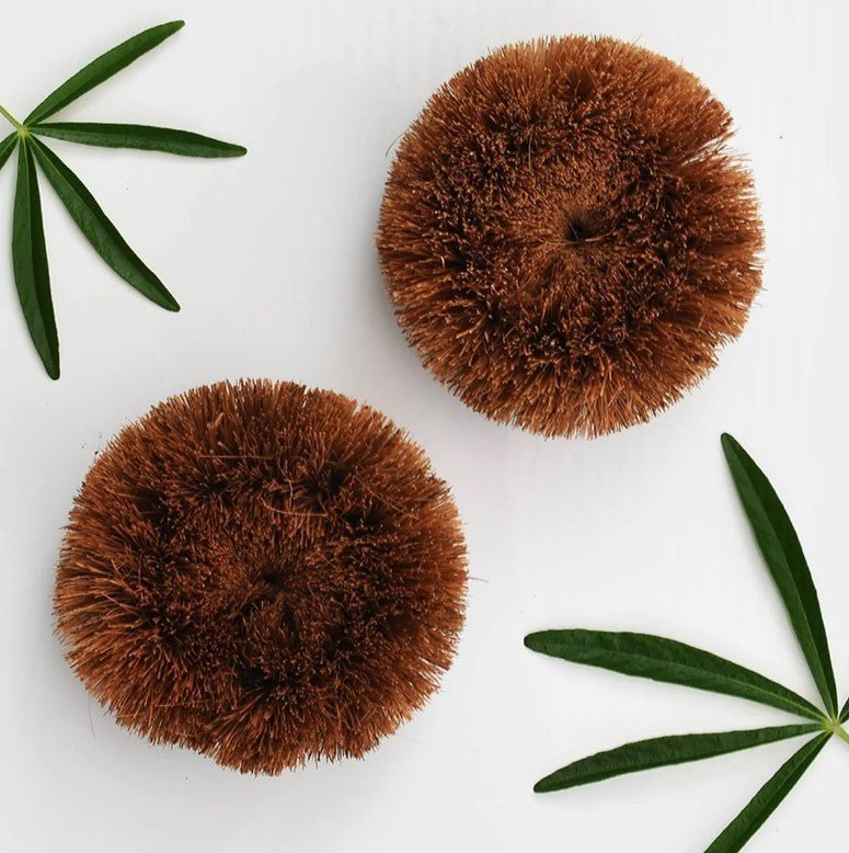 Coconut Plastic Free Scourer Dish Brush, Eco Friendly Washing Brush - REGN
