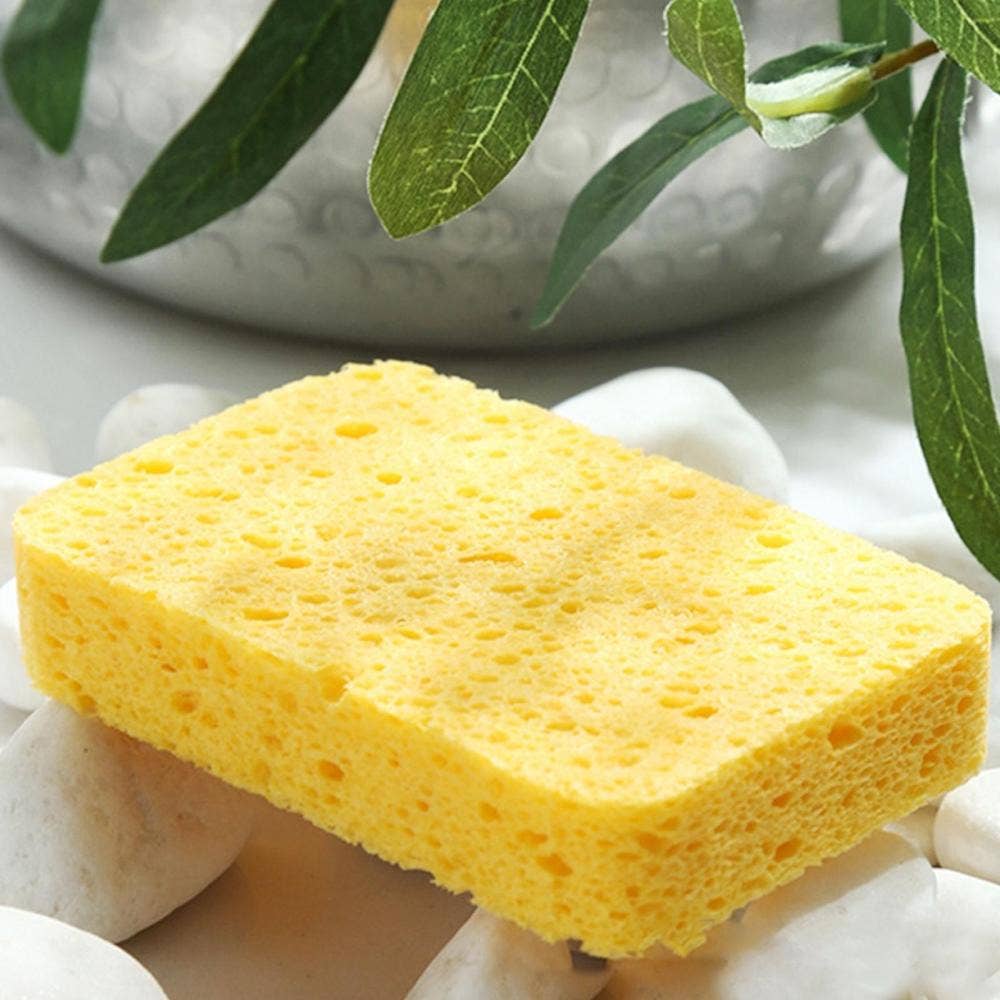 Compostable Cellulose Sponges – Plastic - Free, Biodegradable & Reusable - REGN