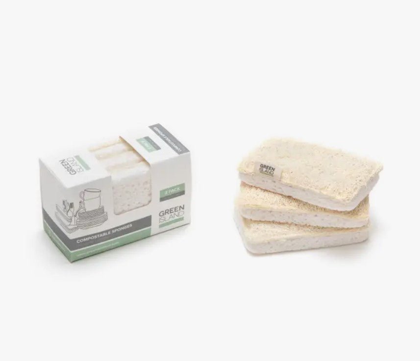 Compostable Sponges - Pack of 3 - REGN