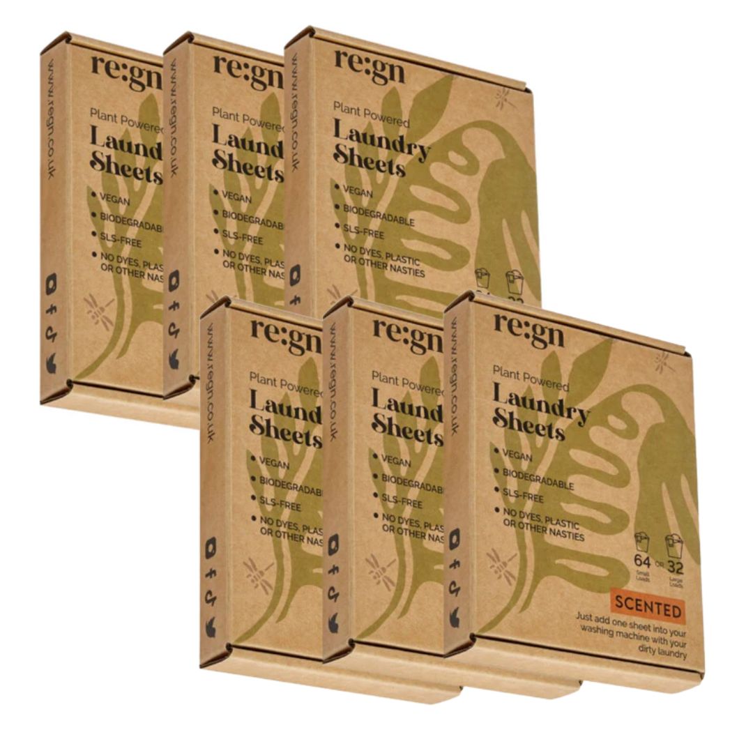 REGN Laundry Detergent Sheets - Plastic Free Eco No Mess Laundry Sheets, 384 loads - REGN