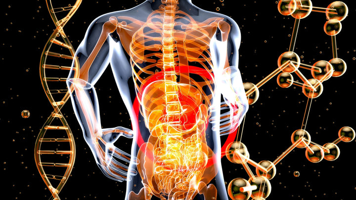 How to Improve Digestive Health Naturally with the Right Foods, Probiotics, and Drinks