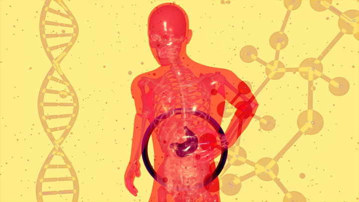Leaky Gut Syndrome Explained with Food Choices Testing and Supplement Support