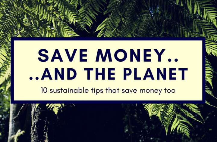 Save money....and the Planet (10 sustainable tips that save money too)