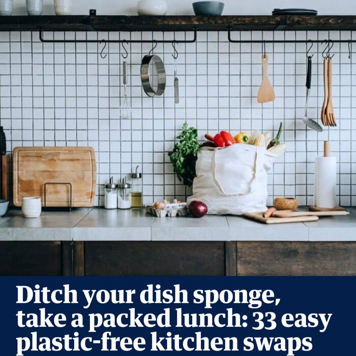 Ditch your dish sponge, take a packed lunch: 12 easy plastic-free kitchen swaps