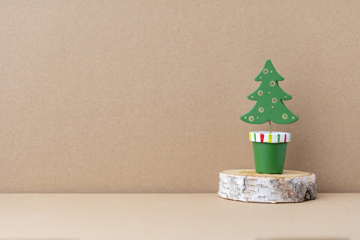 Our Eco-Friendly Christmas Ideas