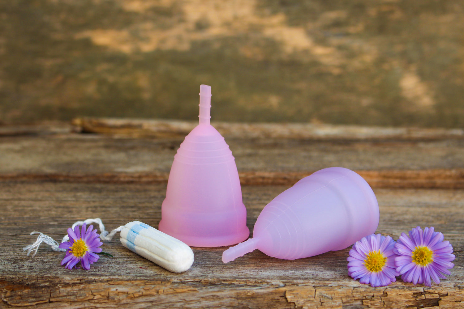 Eco-Friendly and Cost-Effective Menstrual Cups - REGN