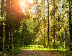 How to Have an Active and Eco-Conscious Summer Outdoors - REGN