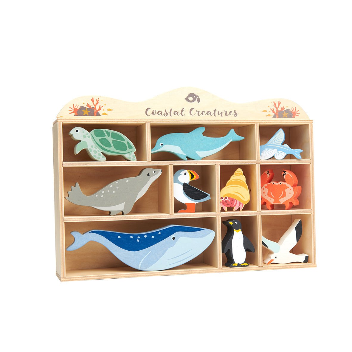 10 Coastal Creatures Shelf Set - REGN