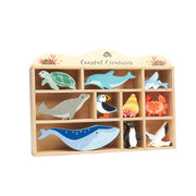 10 Coastal Creatures Shelf Set - REGN