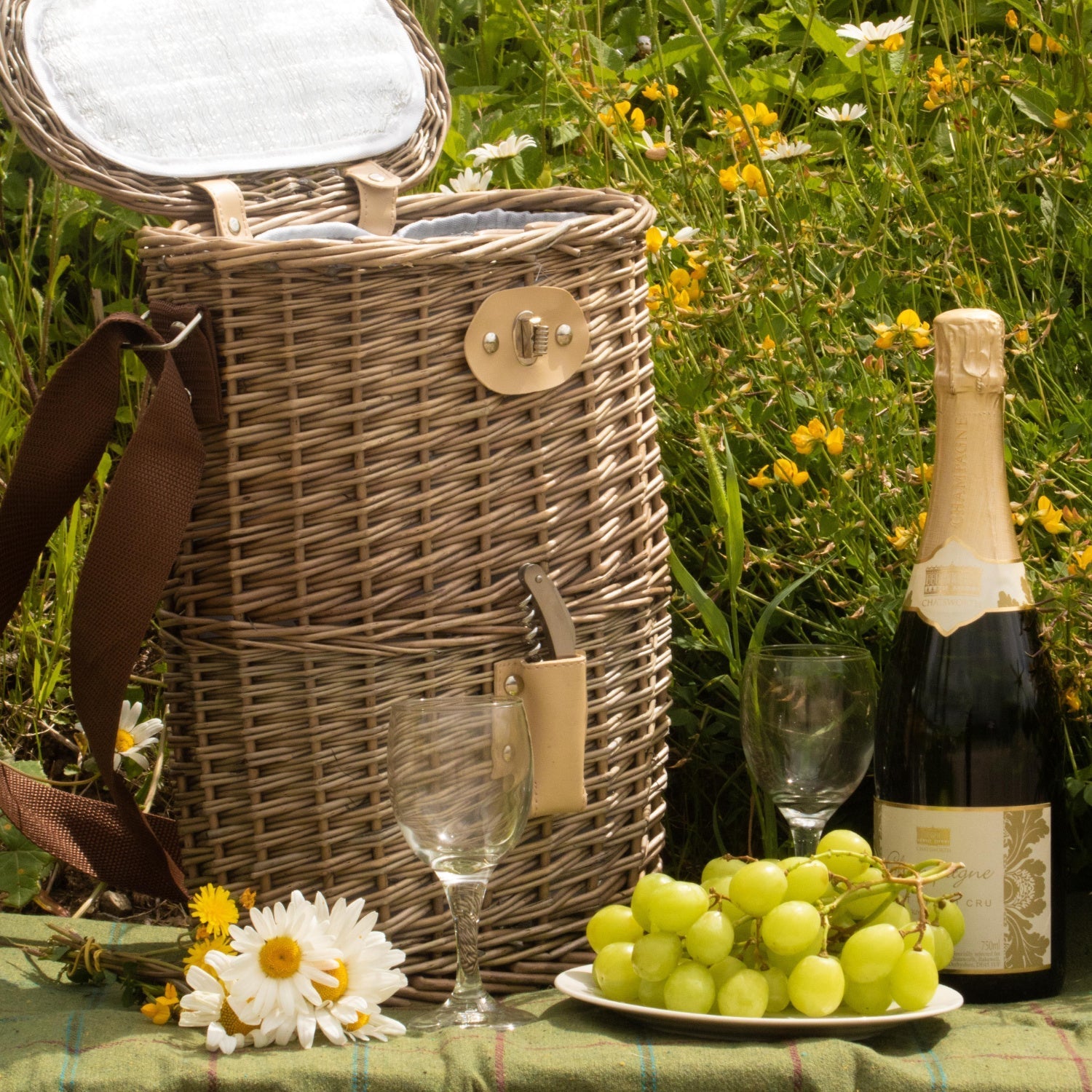2 Bottle Chilled Carry Basket - REGN