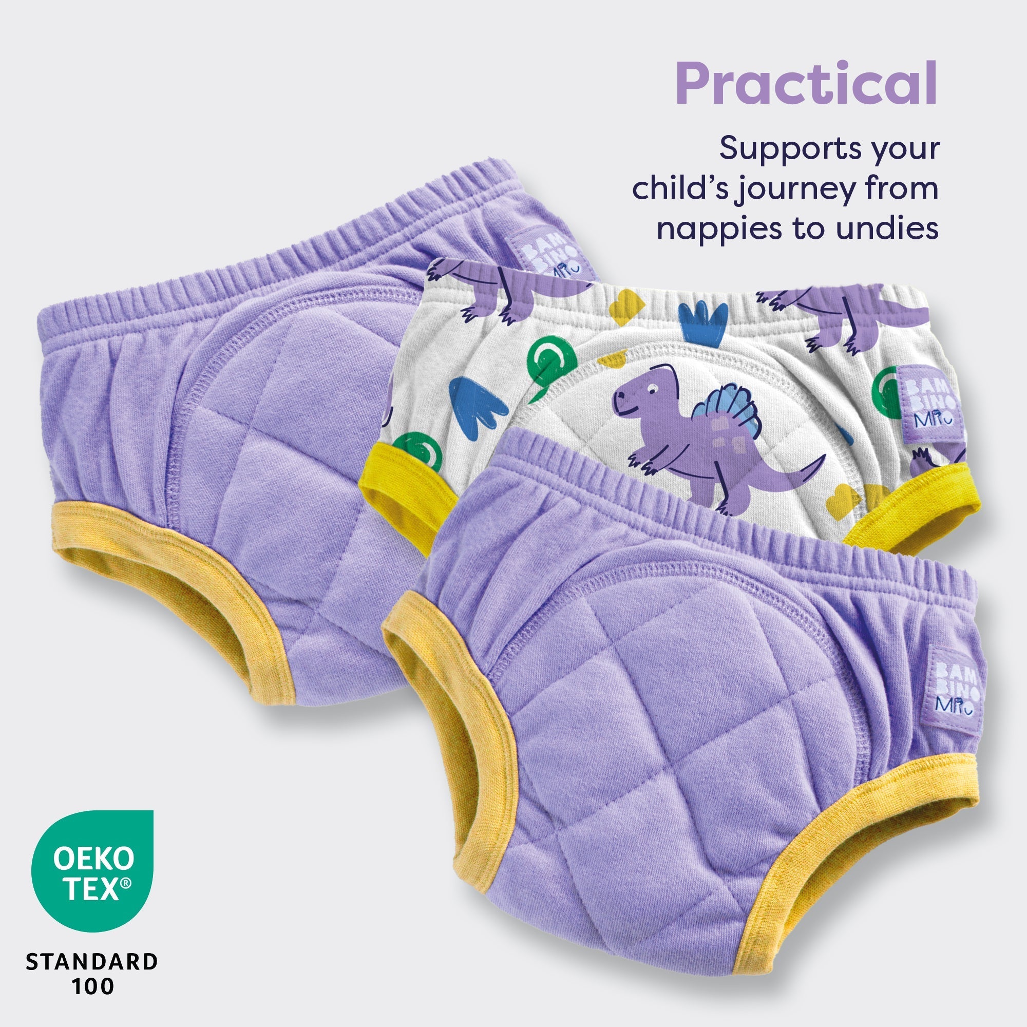 3 Pack Reusable Potty Training Pants in Purple Dinosaur - Enhanced Design - REGN