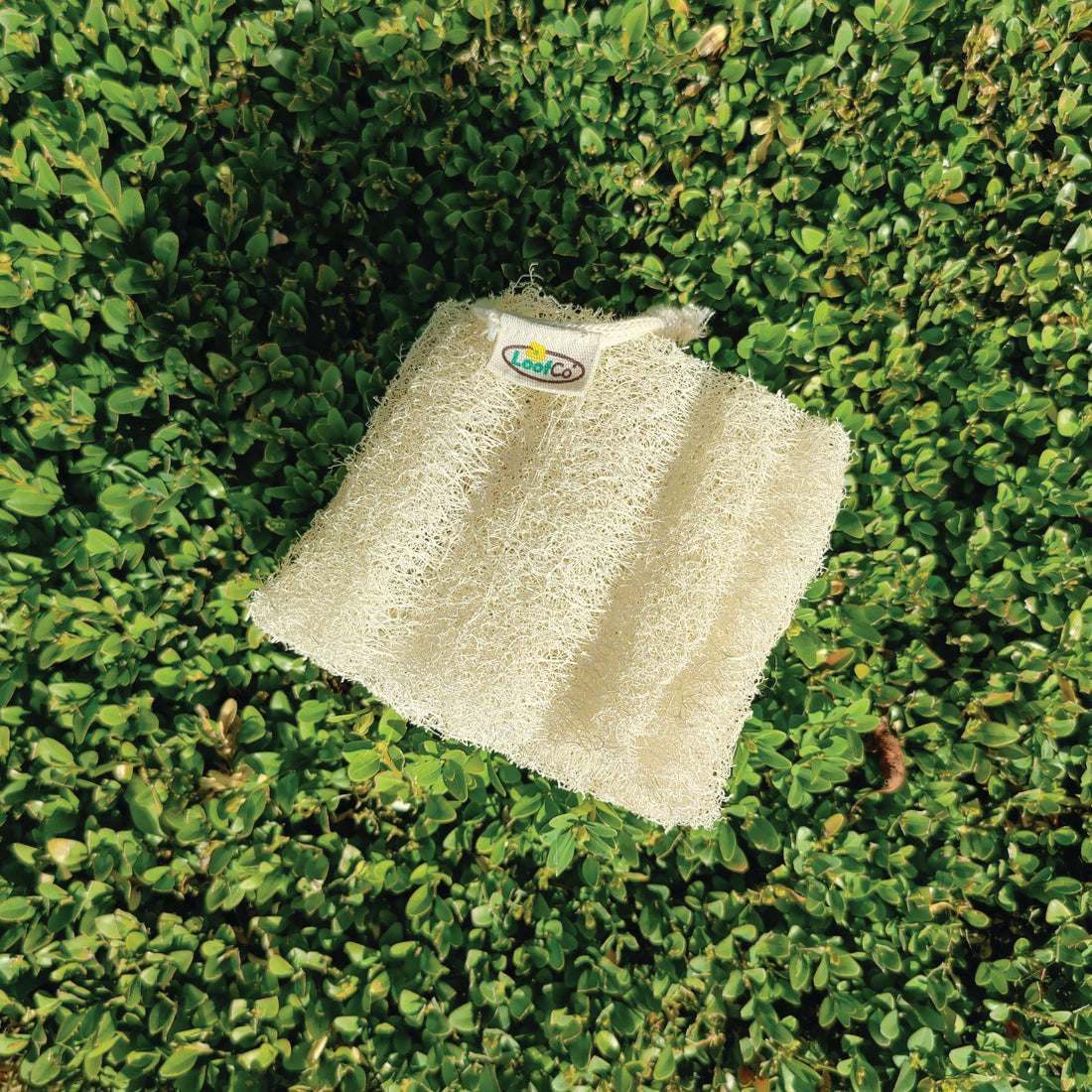 LoofCo Body Loofah – Natural Exfoliating Sponge for Bath & Shower