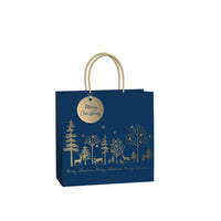 Christmas Luxe Gold Gift Bags – Premium Plastic-Free Gift Packaging