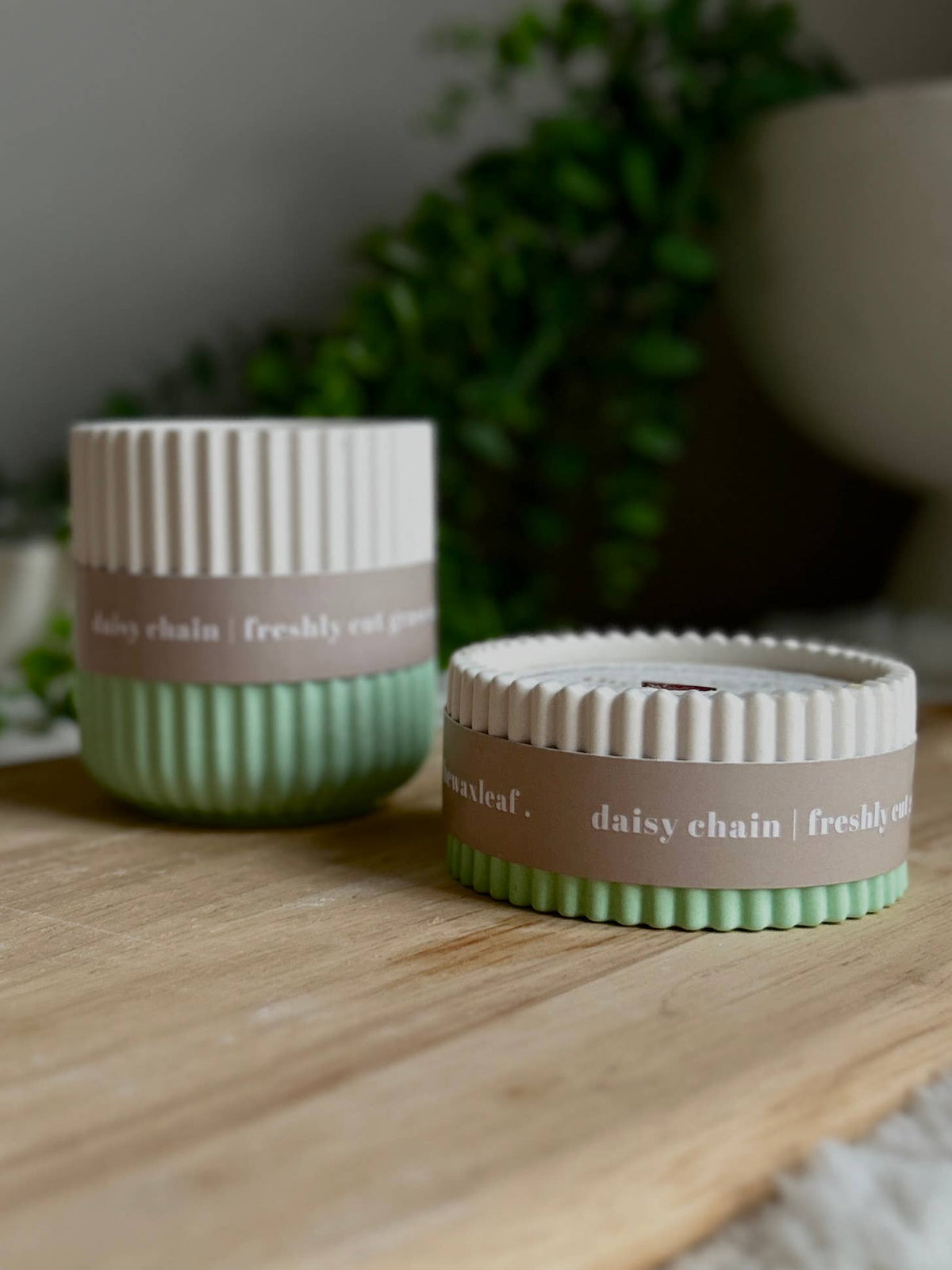 Daisy Chain Grass Scented Soy Wax Refillable Small Candle | Up to 16 Hours