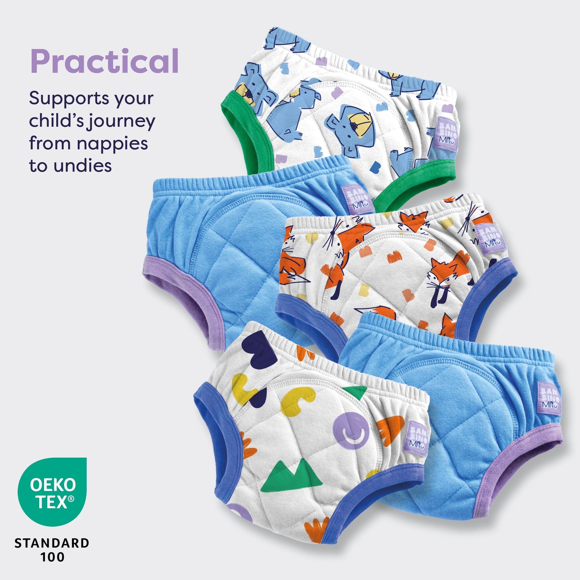 5 Pack Reusable Potty Training Pants in Mixed Sky - Enhanced Design - REGN