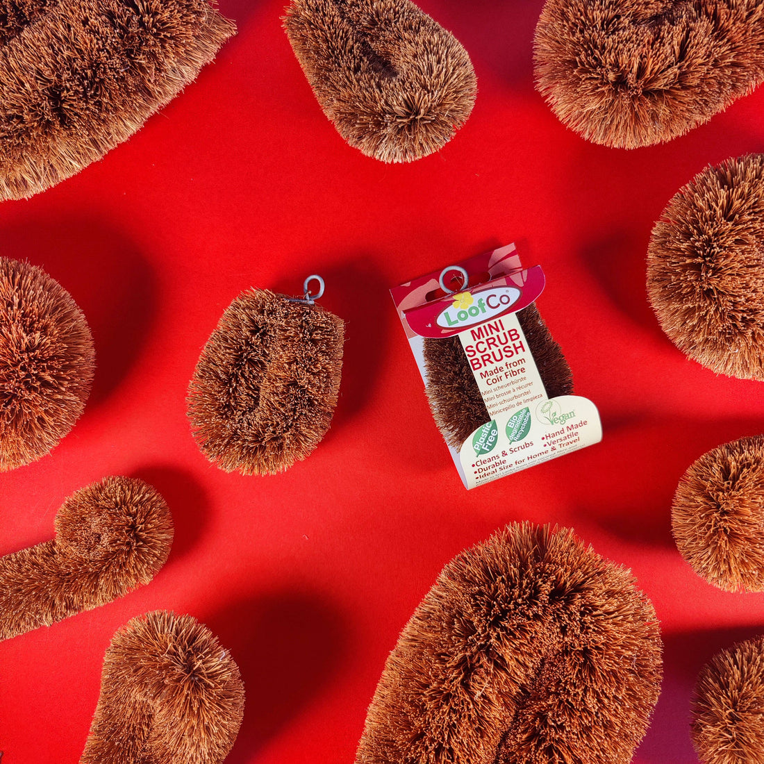 LoofCo Mini Scrub Brush – Natural Coconut Coir Fibre Cleaning Brush