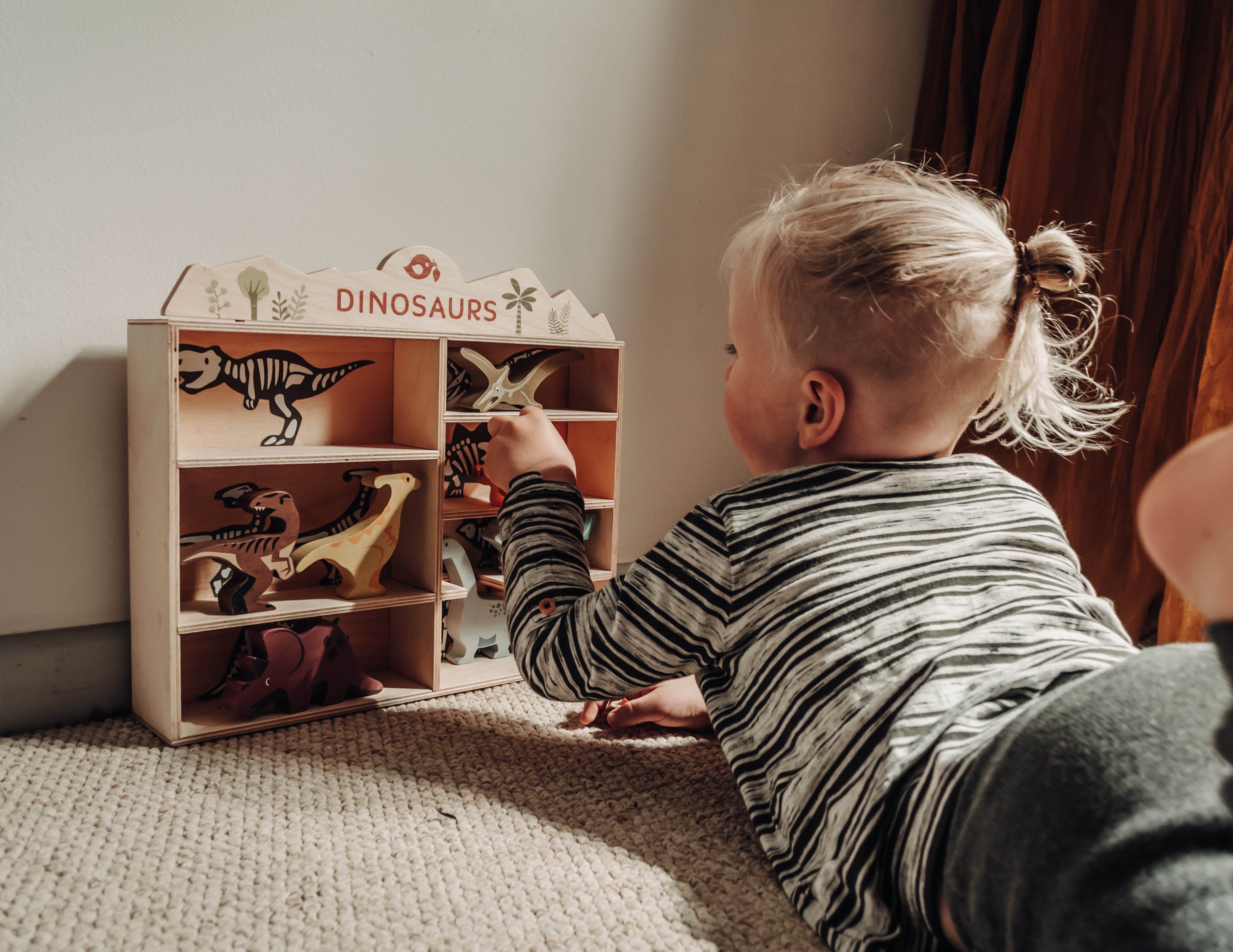 8 Dinosaurs Shelf Set - REGN