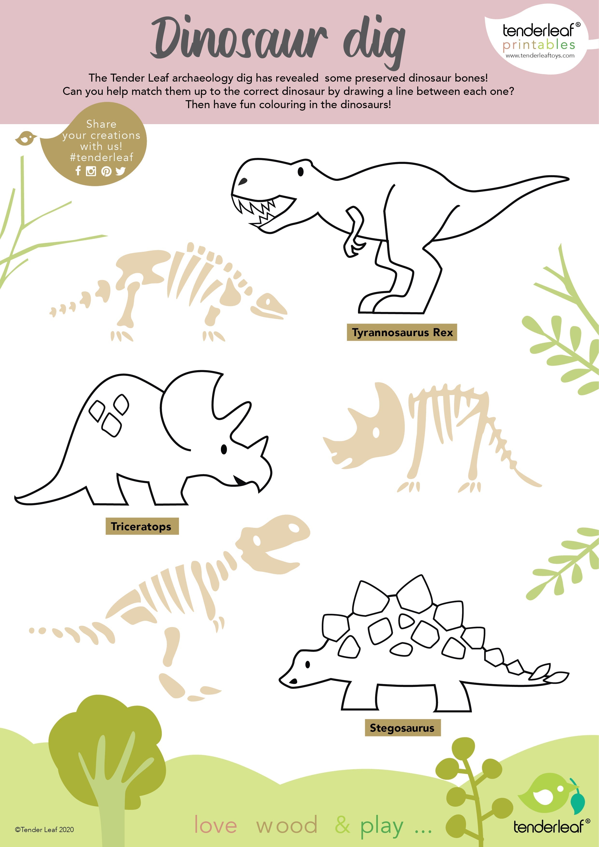 8 Dinosaurs Shelf Set - REGN