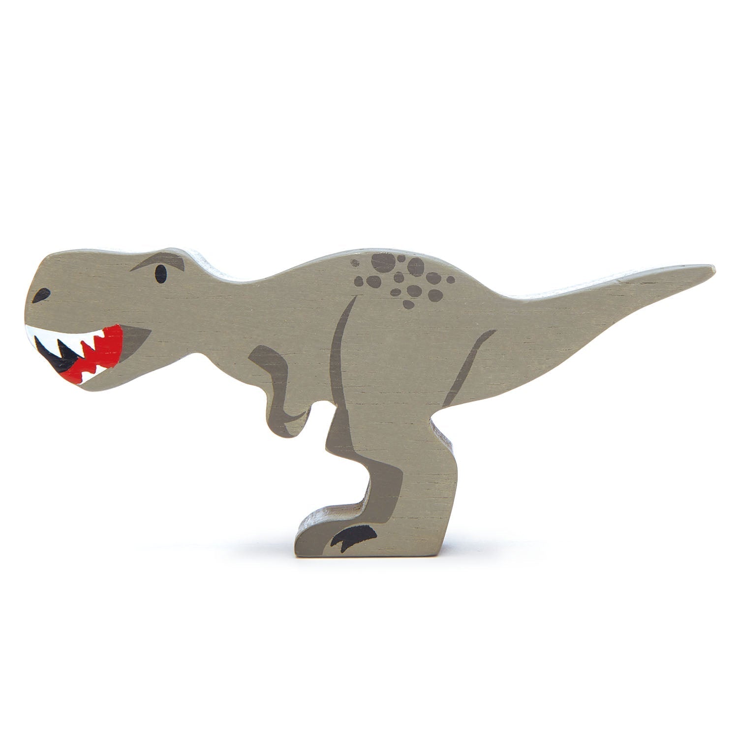 8 Dinosaurs Shelf Set - REGN
