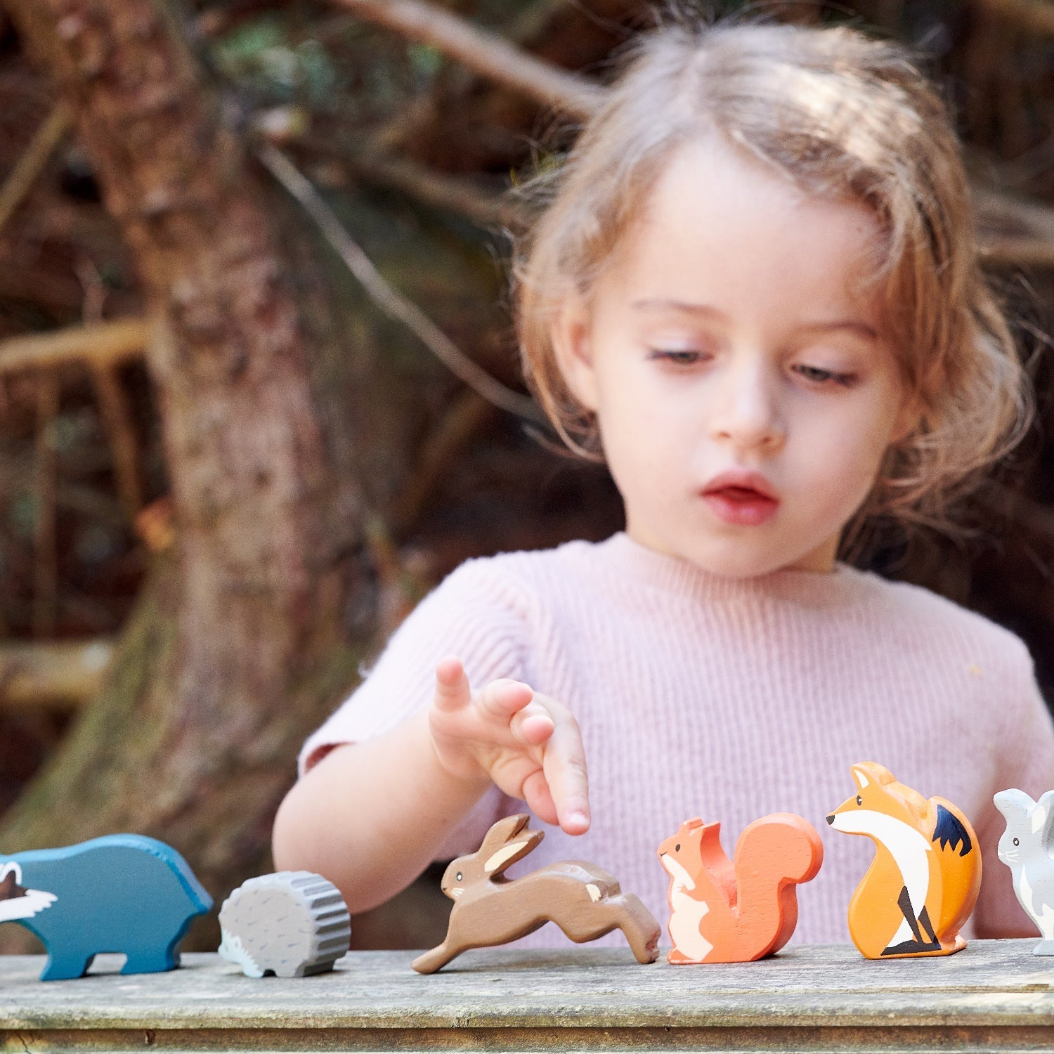8 Woodland Animals Shelf Set - REGN