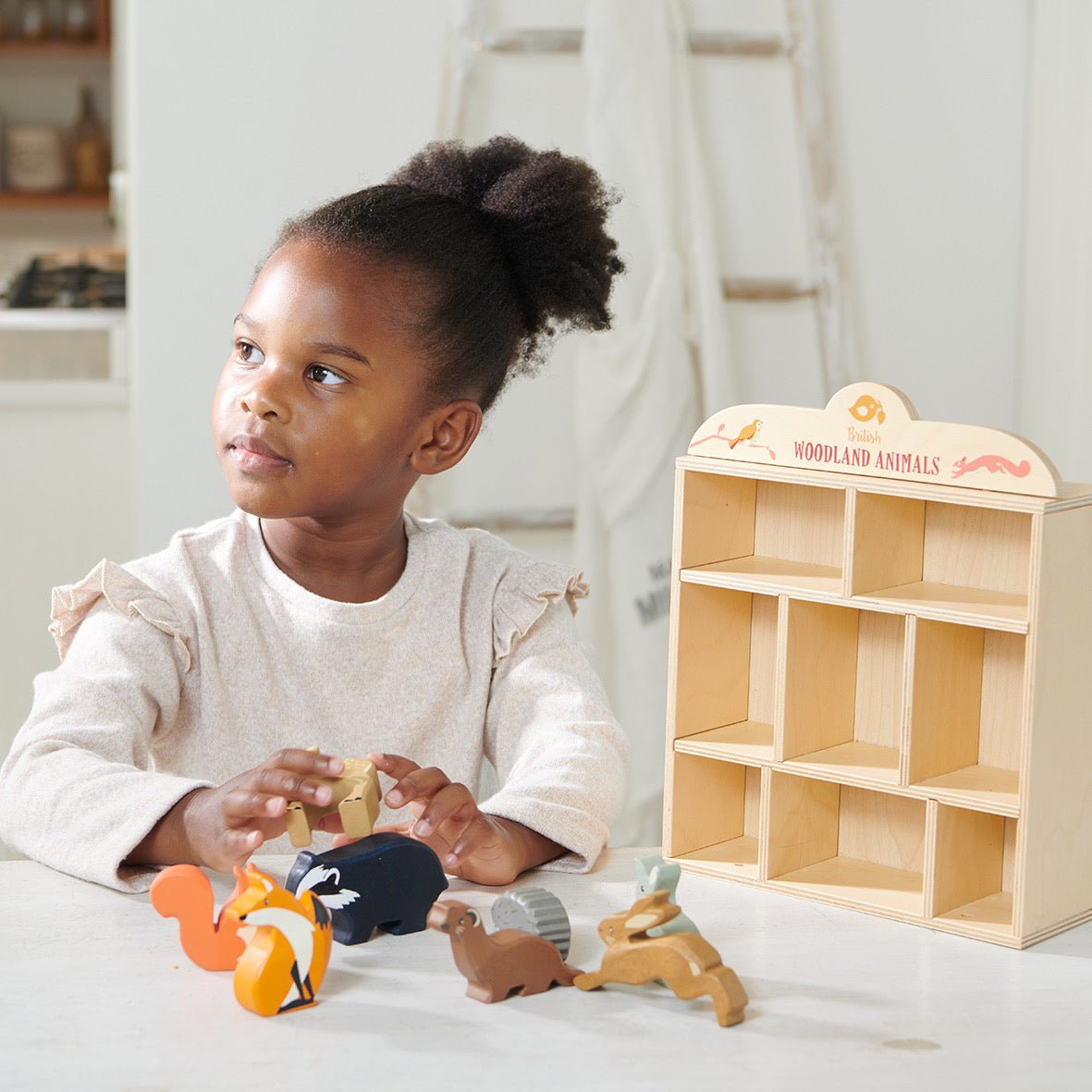 8 Woodland Animals Shelf Set - REGN
