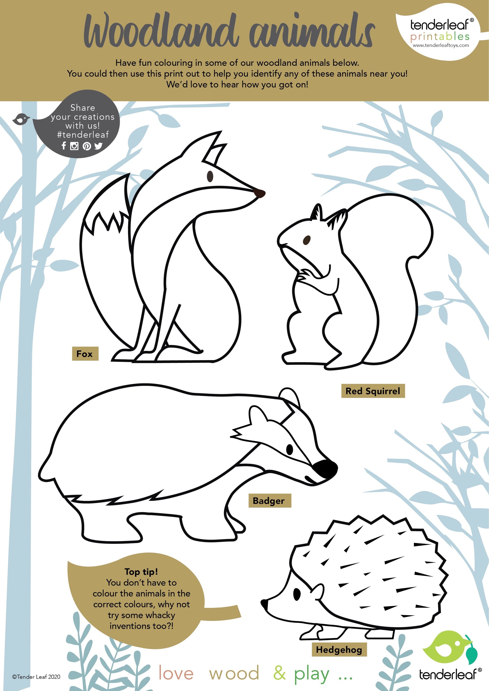 8 Woodland Animals Shelf Set - REGN