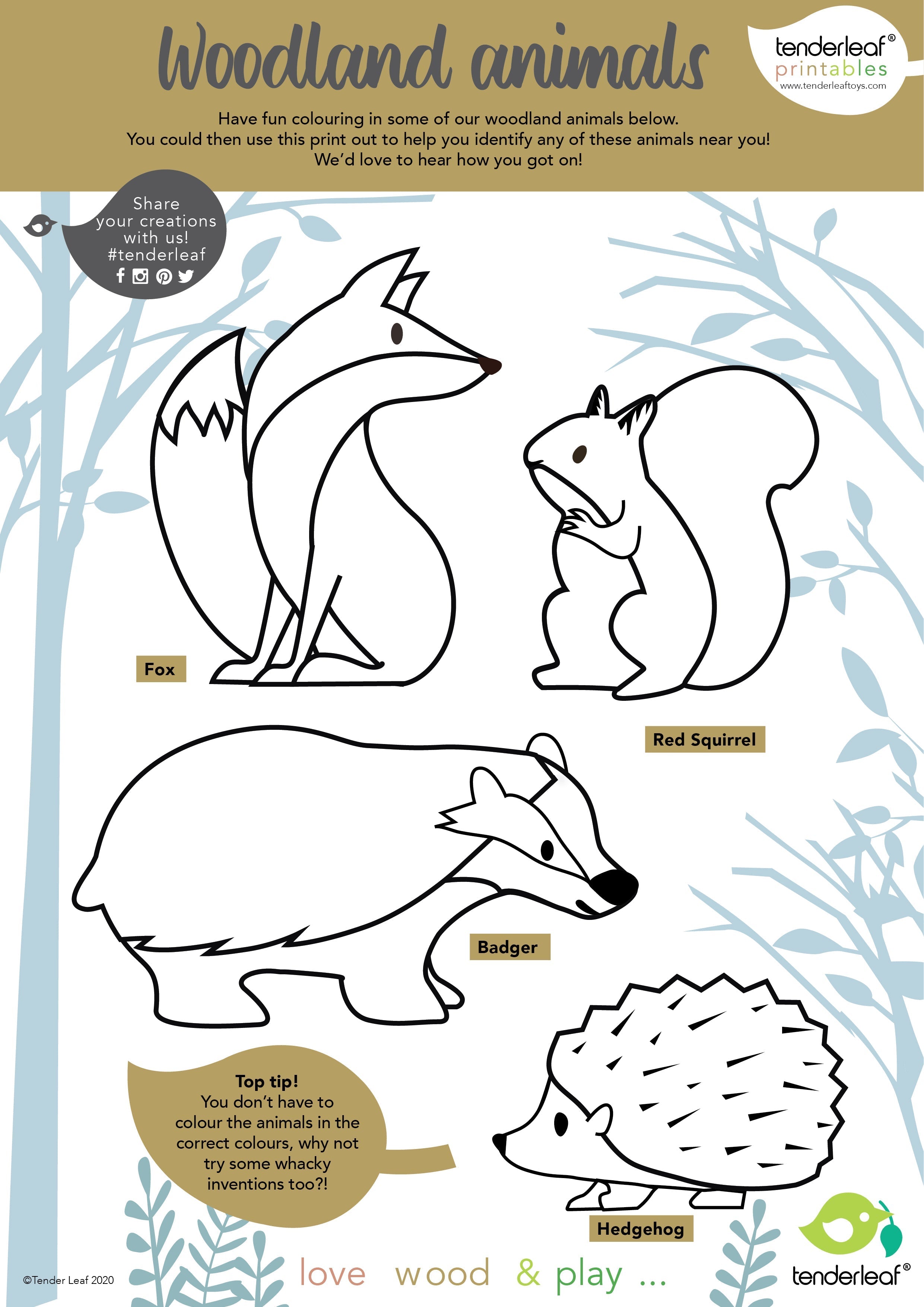8 Woodland Animals Shelf Set - REGN