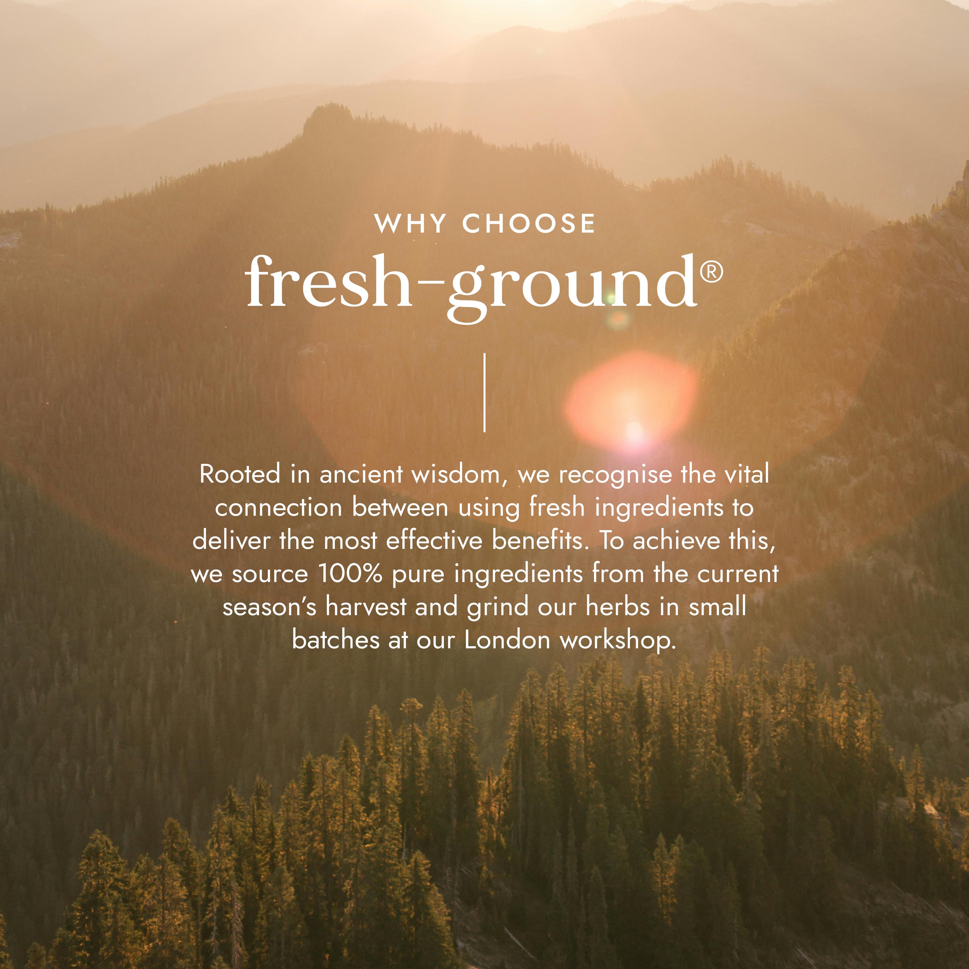 Adaptogen Energy Blend