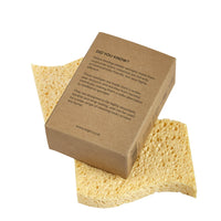 Re:gn Biodegradable Kitchen Sponges box and sponges