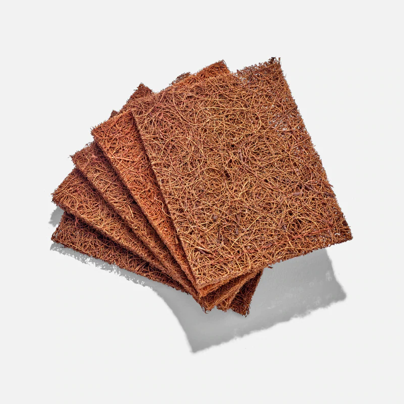 Zero Waste Club Biodegradable Coconut Kitchen Scourers - 5 Pack 