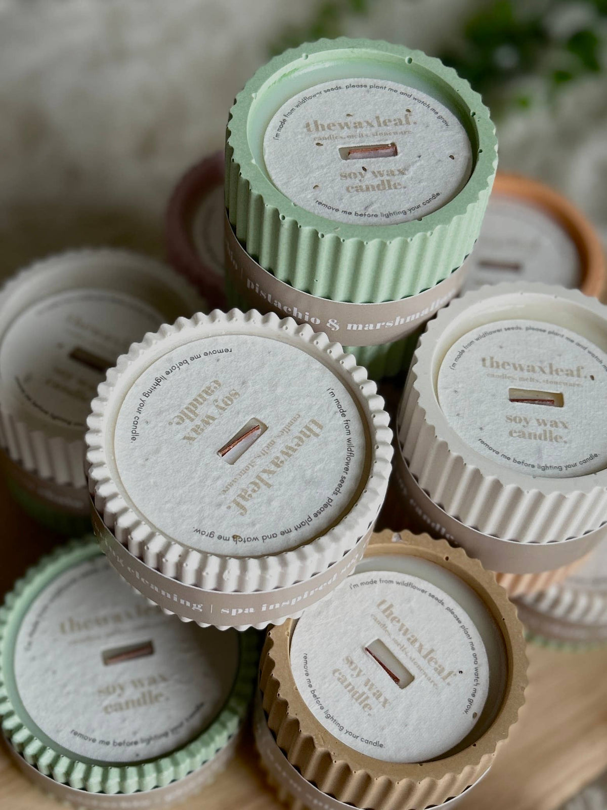 Daisy Chain Grass Scented Soy Wax Refillable Small Candle | Up to 16 Hours