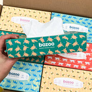 Aloe Vera Balsam Tissues – 3 - Ply, Super Soft & Eco - Friendly - REGN