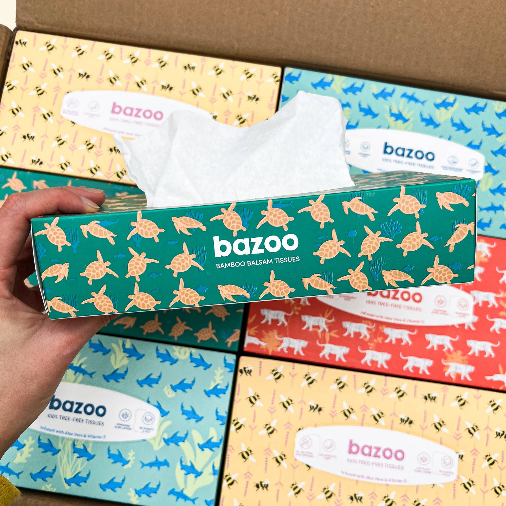 Aloe Vera Balsam Tissues – 3 - Ply, Super Soft & Eco - Friendly - REGN