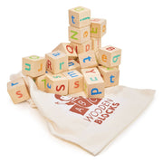 Alphabet Spelling Blocks - REGN