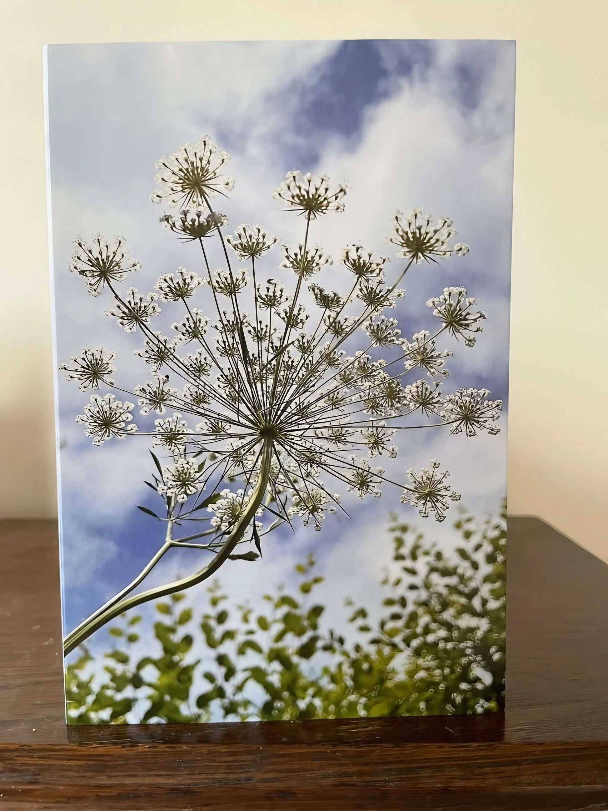 Ammi against a Norfolk sky Greeting Card - REGN