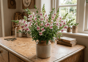 Antirrhinum Lucky Lips - REGN