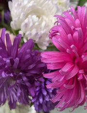Aster Giants of California - REGN
