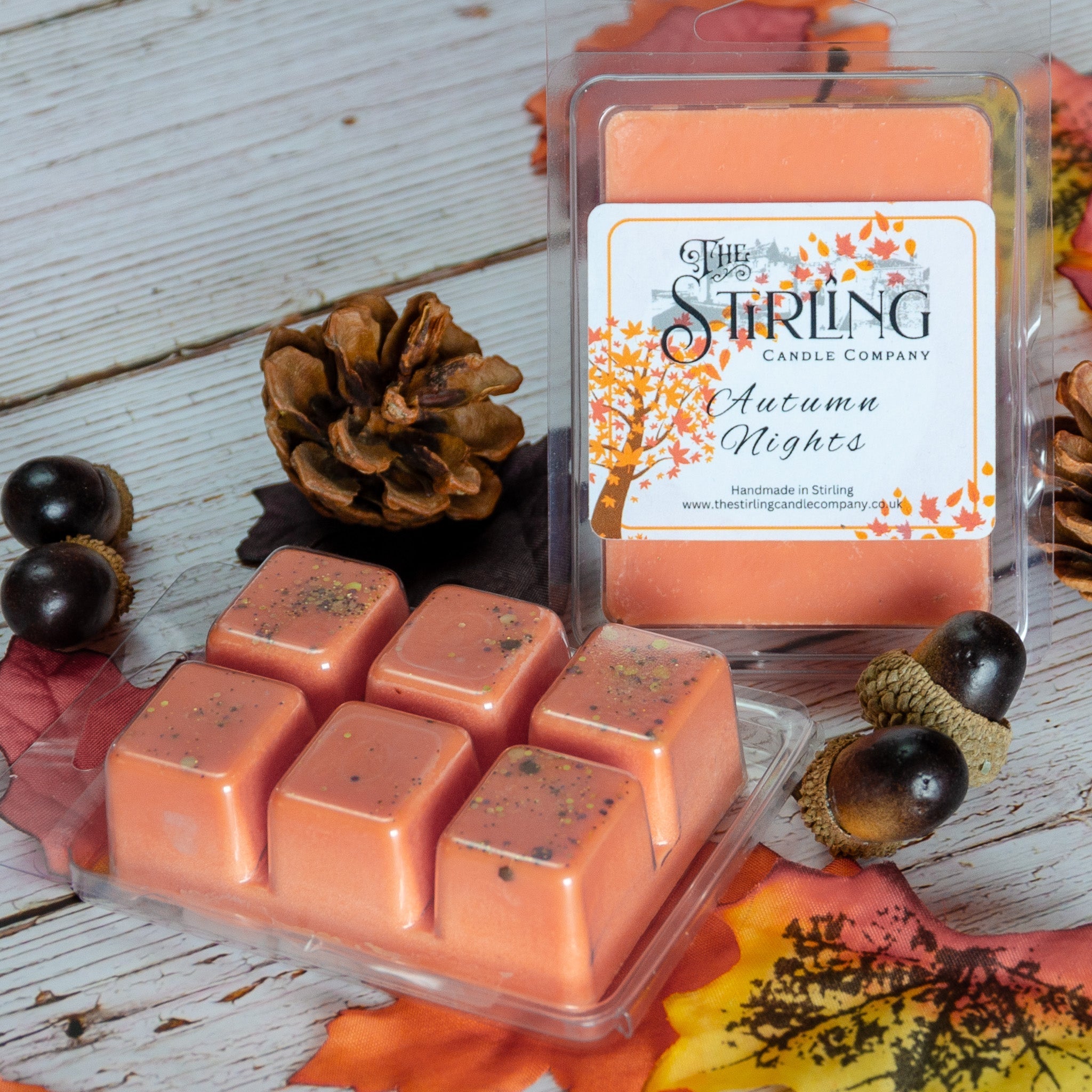 Autumn Nights - Wax Melt Clamshell - REGN