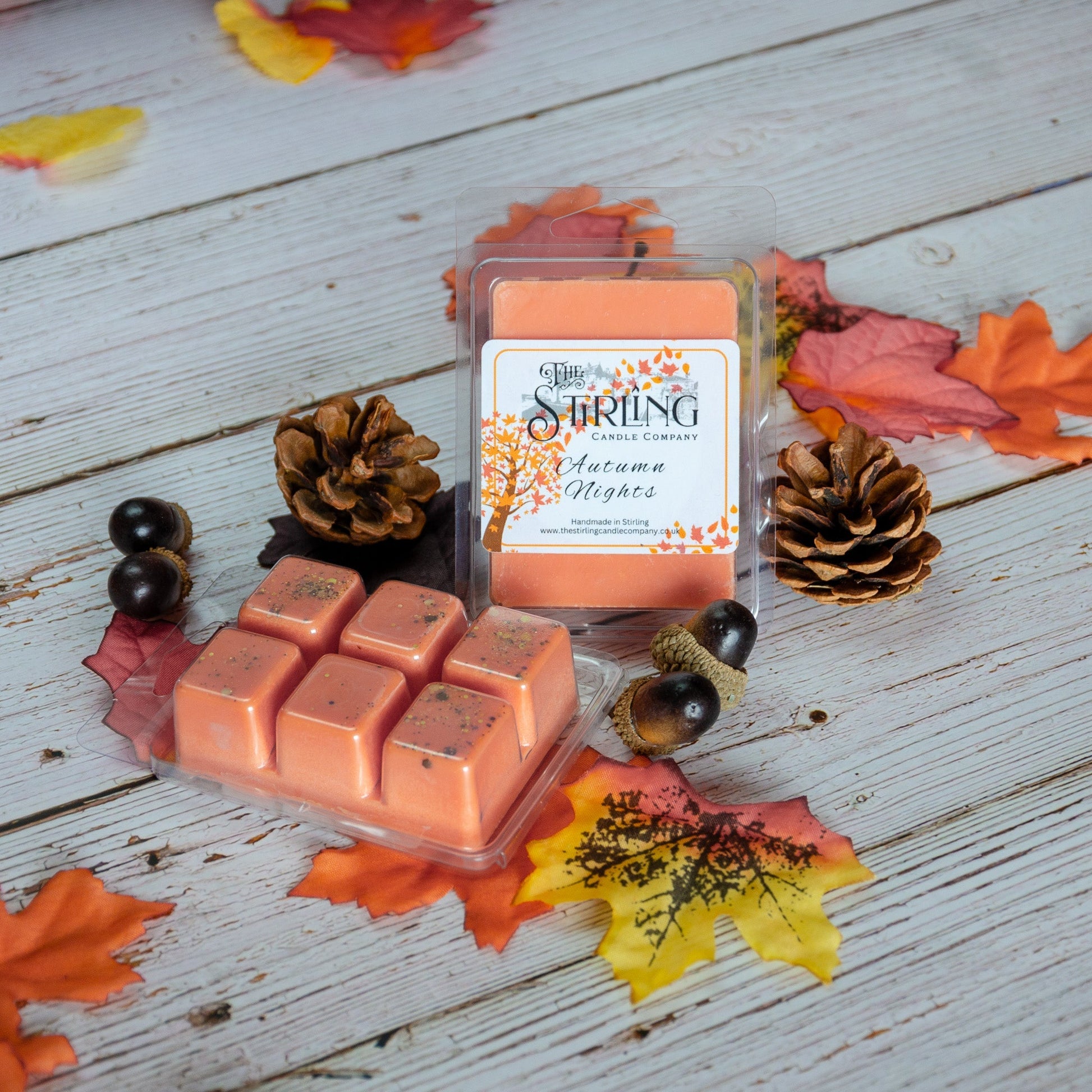 Autumn Nights - Wax Melt Clamshell - REGN