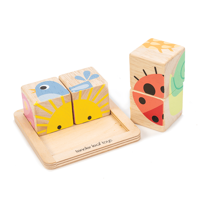 Baby Blocks - REGN