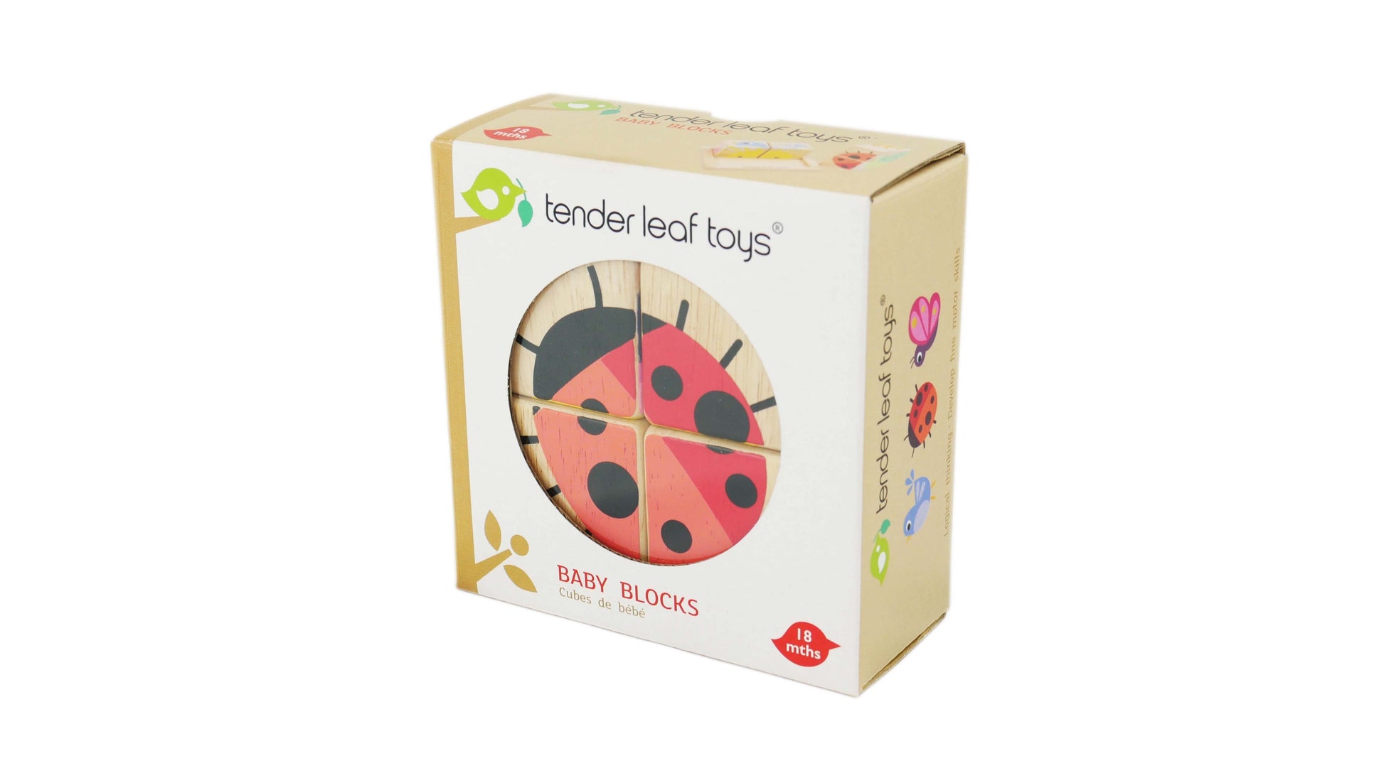 Baby Blocks - REGN