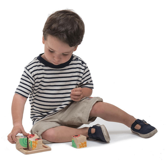 Baby Blocks - REGN