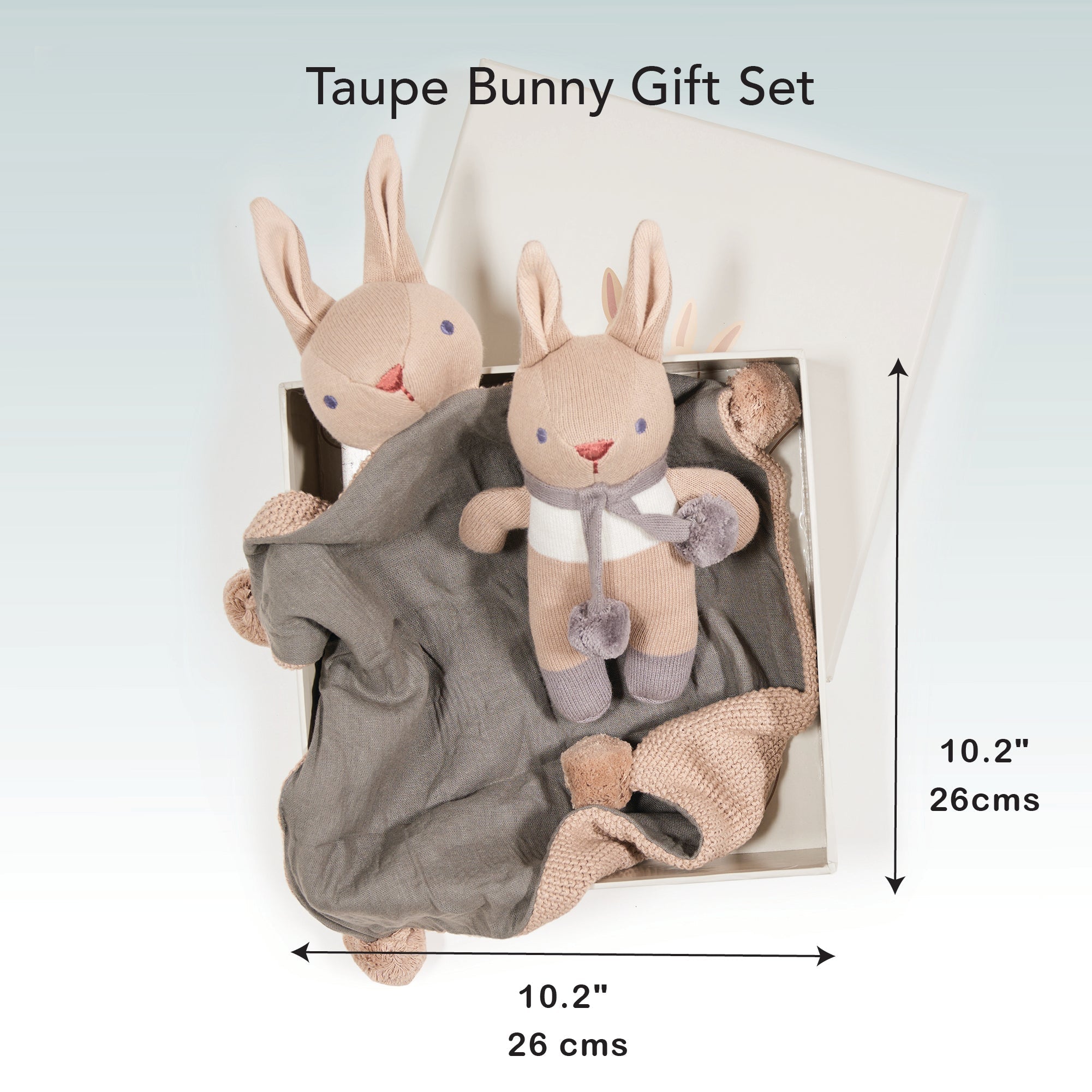 Baby Threads Taupe Bunny Gift Set - REGN