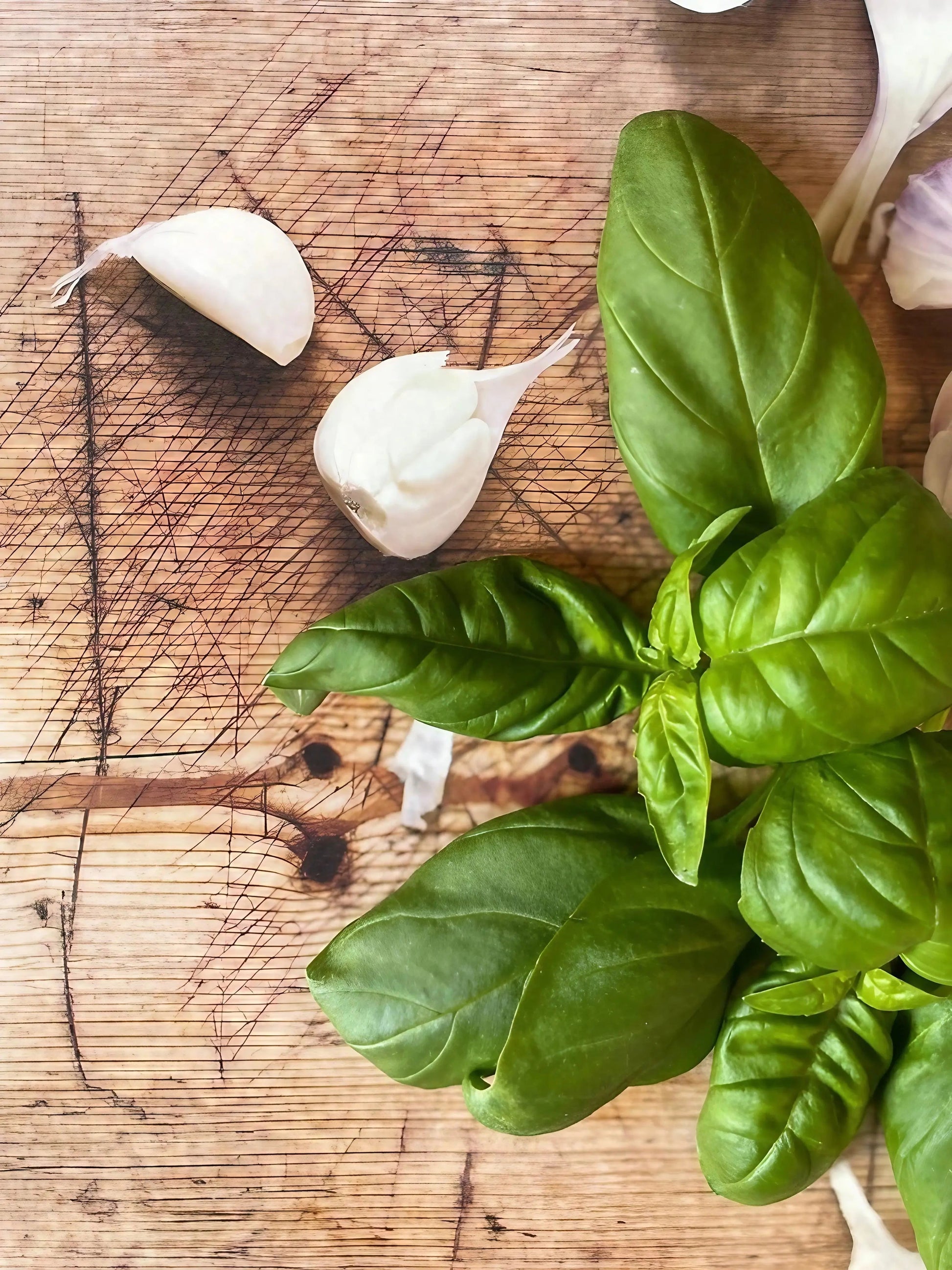 Basil Classic Italian - REGN